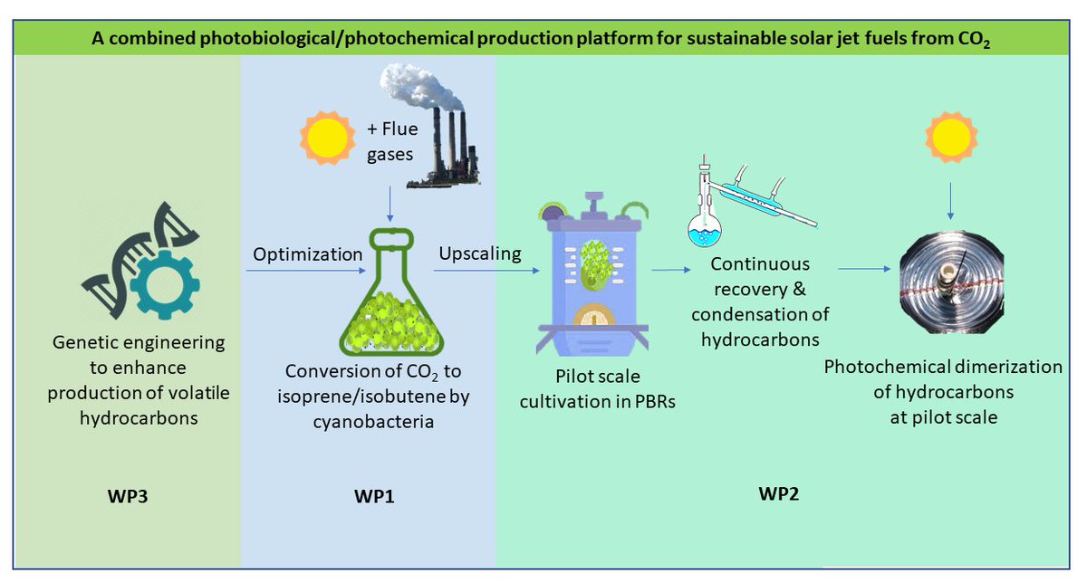 OttossonGroup's tweet photo. We're recruiting a #postdoc on a photobiological-photochemical approach to sustainable aviation fuels jointly with bioengineering groups of Pia Lindberg, @KarinStensjo and Peter Lindblad and @RISEProcessum Check out https://t.co/UJQFbwbihY https://t.co/NbHImzayTh