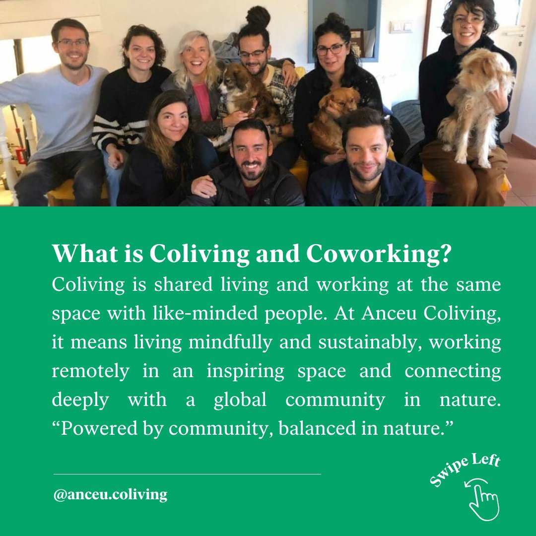 Anceu Coliving tweet media
