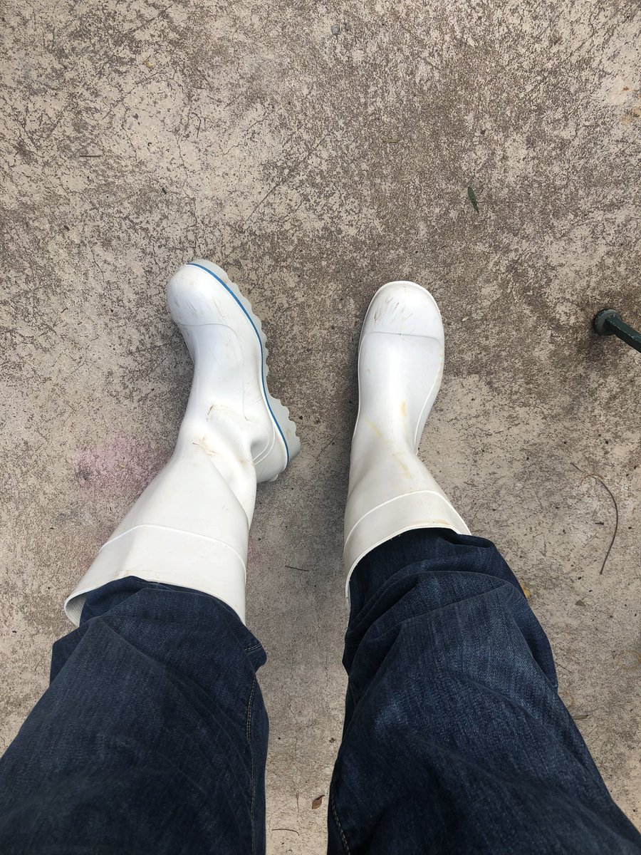 AussieBoot's tweet photo. Who likes them white #wellies #rubberboot #rubberboots #gumboot #gumboots #rubberbootfetish #whitewellies #whilerubberboots #noraboots #norawellies https://t.co/oTjRKTpjBy