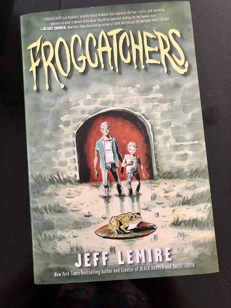 DoubleZCreative's tweet photo. Got a present of @JeffLemire #Frogcatcher - what an amazing original book. The flow of the story telling, the artwork! Big themes too. Loved it! 🙏 thanx @Youcangetpaul @aisolyons https://t.co/uNOrEQ2tIf