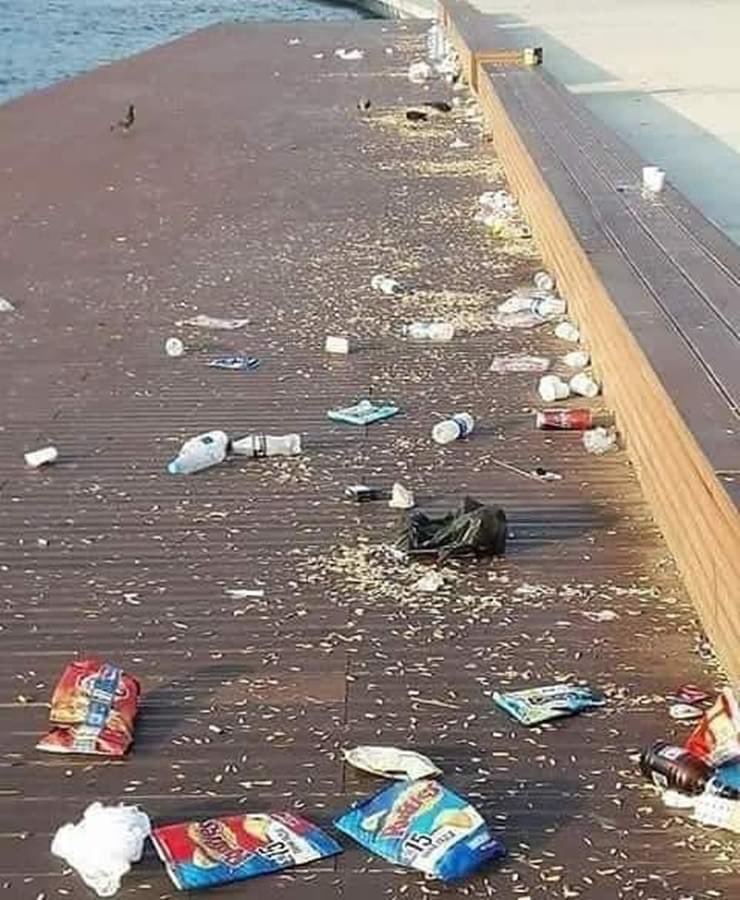 Bu hayvan türleri özellikle
ılık akşam saatlerinde
şehir merkezindeki su kenarına inerler,
orada karınlarını doyurduktan sonra ormandaki inlerine geri dönerler..!