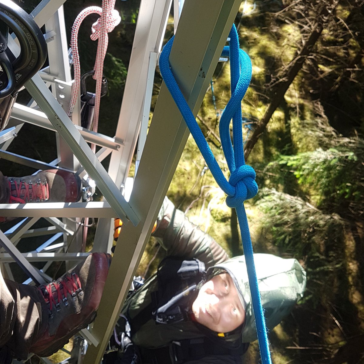Yesterday we were busy installing a new mast @SE_Htm for sub canopy turbulence and later #eddycovariance measurements to estimate #carbonfluxes. So far the new mast opens up some new perspectives in the #forest and is a great place to escape the mosquitos.
