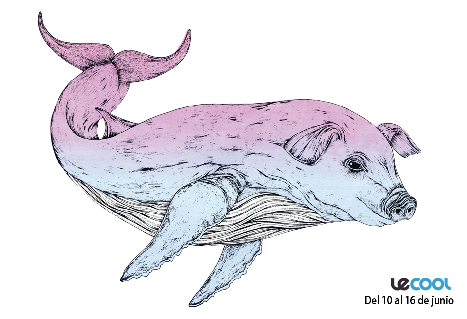 Le Cool Madrid tweet media