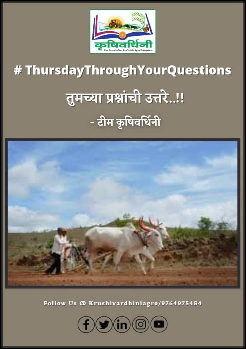 krushivardhini's tweet photo. #ThursdayThroughYourQuestion

*खरीप सोयाबीन लागवड तंत्रज्ञान...!

https://t.co/Tri6SZwKXo

$ टीम कृषिवर्धिनी

#पीक_समस्या #शाश्वत_शेती #कीड_रोग_व्यवस्थापन #ThroughYourQuestion #बी_बियाणे #माती #सोयाबीन #पाणी #जंगल #गवत #KrushivardhiniAgro #कृषिवर्धिनी_ॲग्रो #FPO #FPC #Agriculture https://t.co/yi3emekKVy