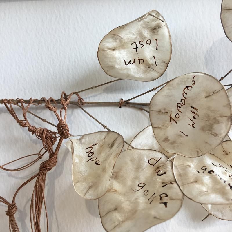 MakersWales's tweet photo. #MakerInFocus
A new exhibition by guild member @alisonmoger using the Honesty Plant / Lunaria Annua. The paper-like fragility of the plant, and yet its strength to endure, are a poignant reflection on the life of the elderly in carehomes.
https://t.co/1HA5rt5RGH

@Arts_Wales_ https://t.co/hkYPF4LxdD