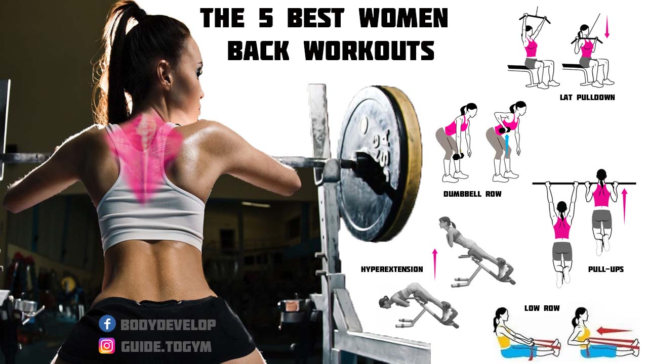 Fitness Guide on X: The 5 Best Back Workouts for Women Training back  muscles for women is no less important than the buttocks and abs. A strong  and relief back is a