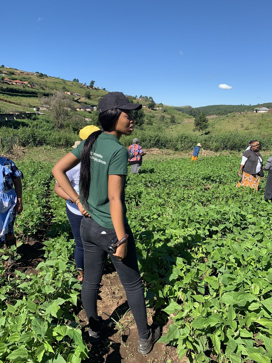ryaf_agribiz's tweet photo. Africa has the ability to produce enough food to feed its population and beyond, and develop agribusiness that would offer decent employment to youth
In line with  supporting the youth Rwanda has committed to making the youth the driver of agriculture development &amp; food security. https://t.co/v0x7w1kDQ6