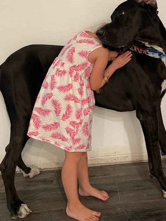 My boy Atlas turns one year old tomorrow.  Co-pilot, doorman, protector and champion of my wife and daughter.  Cheers, bud.