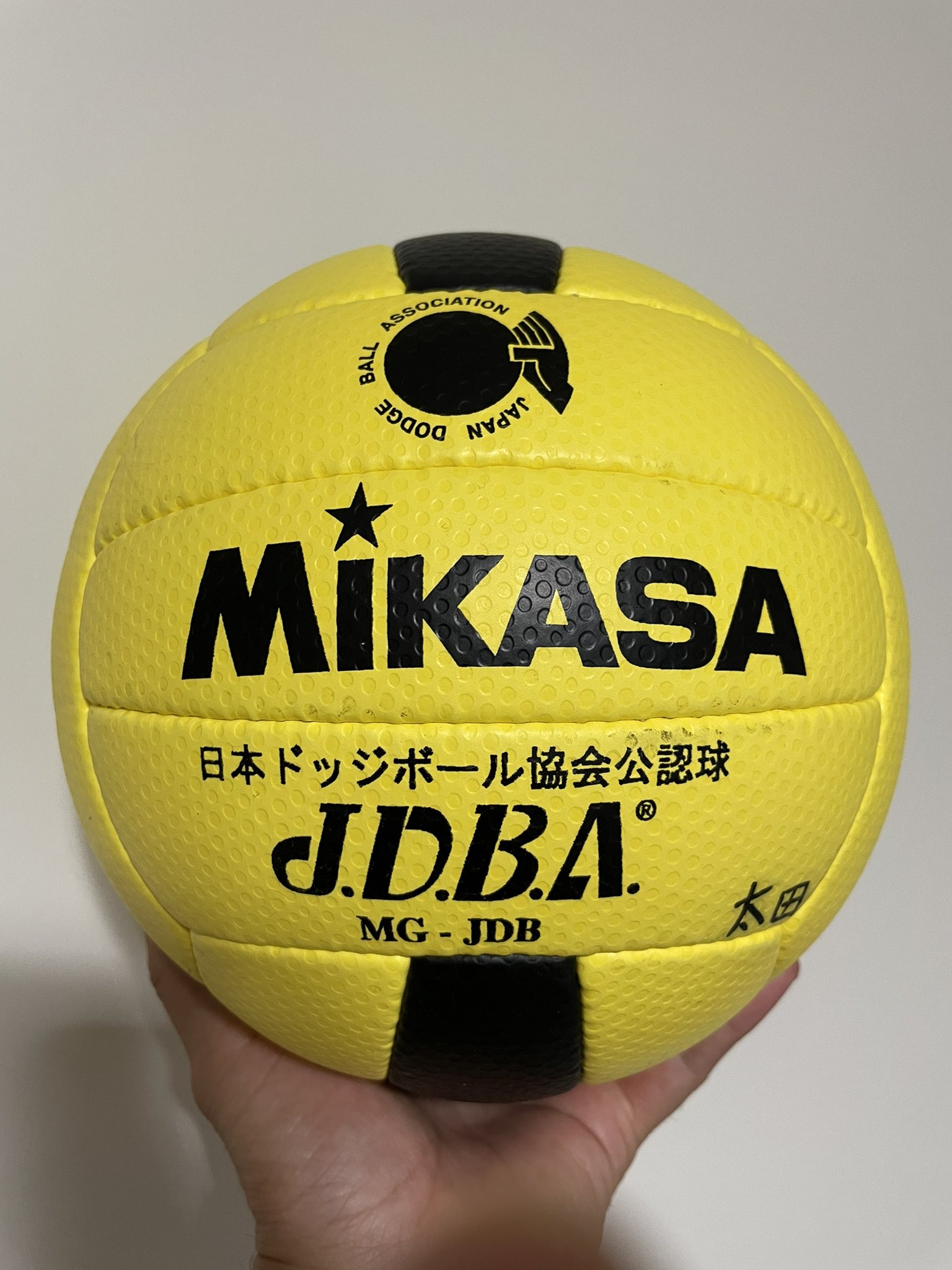 新色追加! いちご様専用】日本ドッジボール協会公認球(新品新古品含