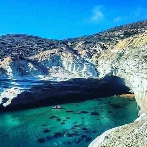 This is Algeria tweet media