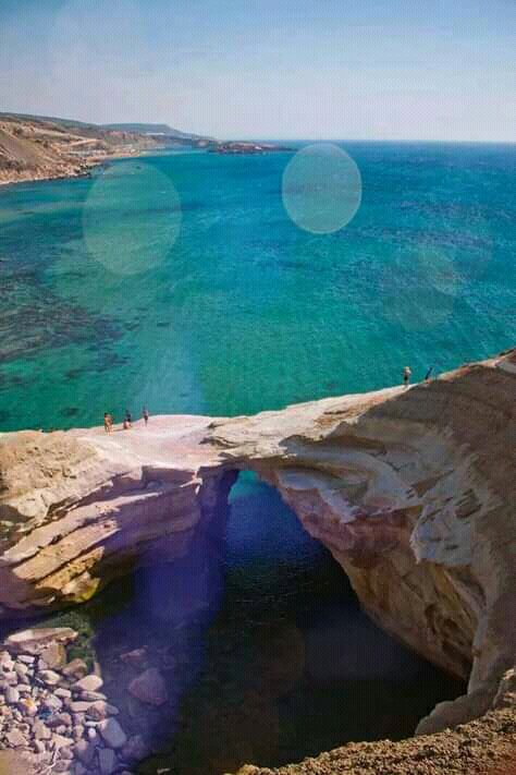 This is Algeria tweet media