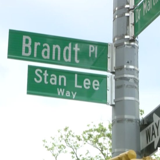 Bronx street sign unveiled with co-naming for Marvel Comics legend Stan Lee