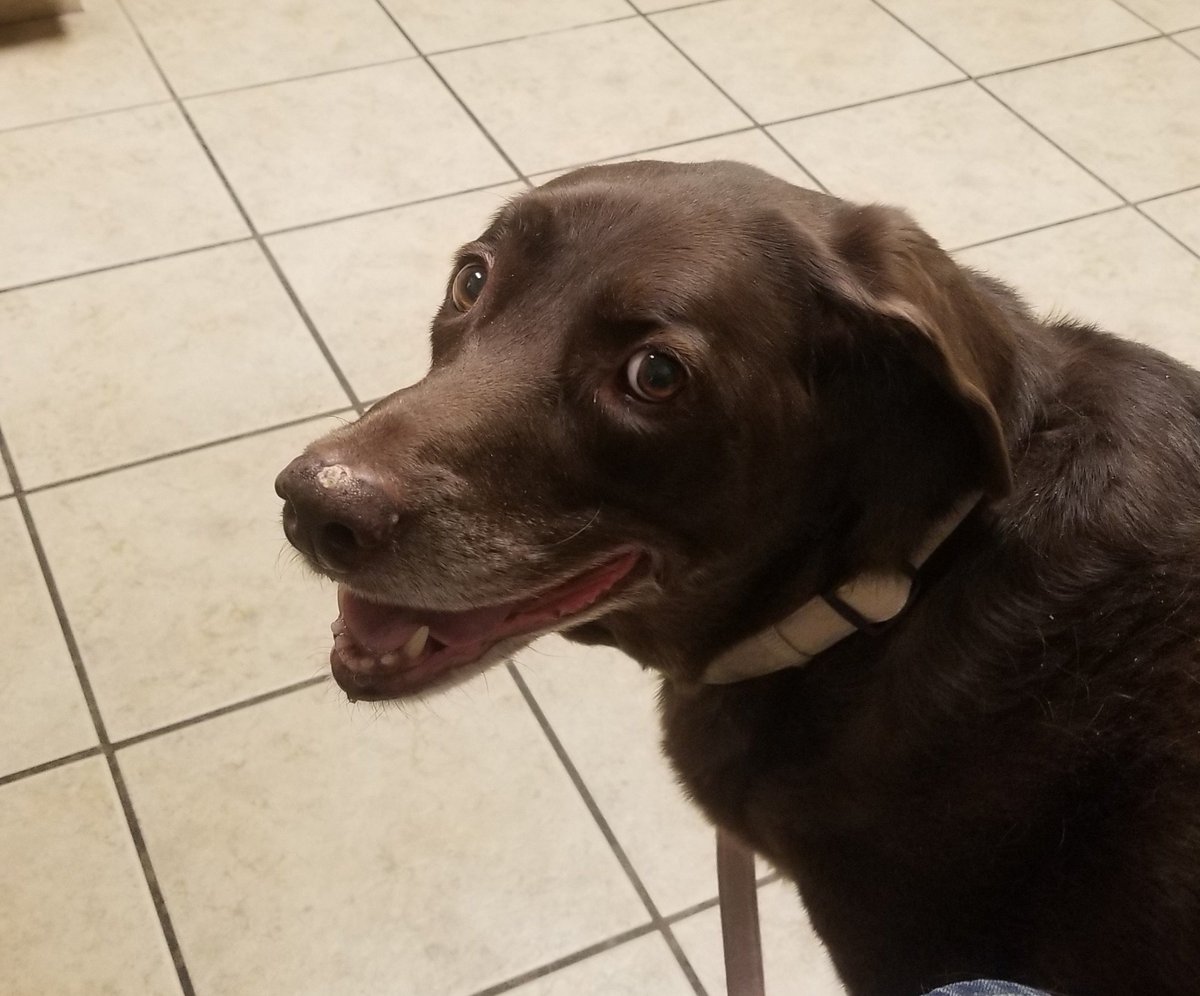 Las Vegas Local tweet media