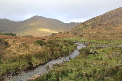 FarmSafely's tweet image. Minister, Farmers And Academics Laud KerryLIFE

Read more here: ow.ly/wFbB50F7rpt

#Acclaim #Irish #KerryLife