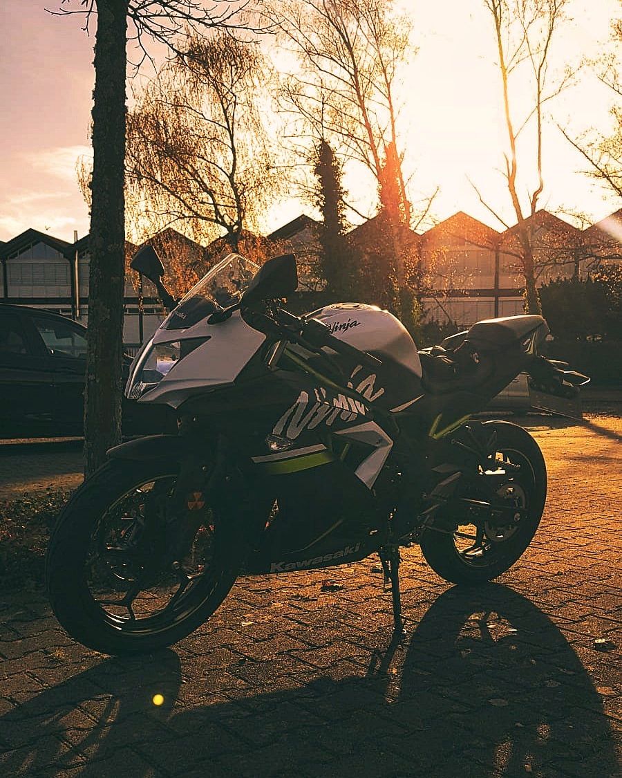 Fabienne tweet media