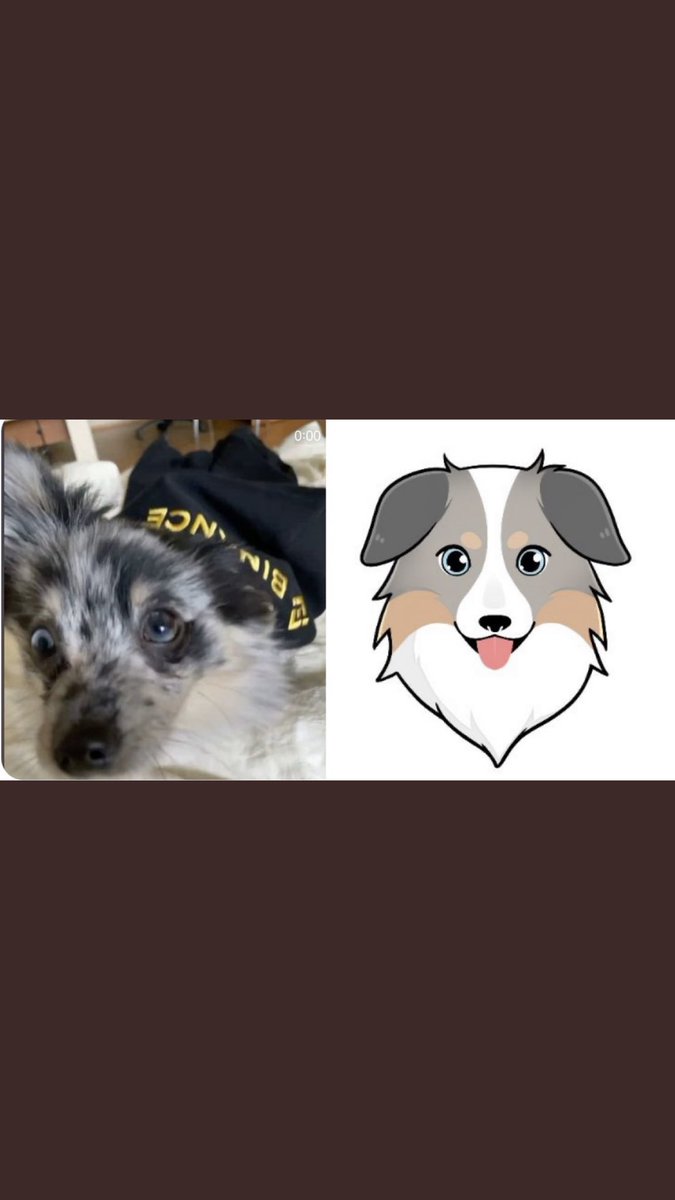 SangarioBOOS's tweet photo. Wen wen hey ı like your $ASS @kucoincom https://t.co/uTIRNeokSi