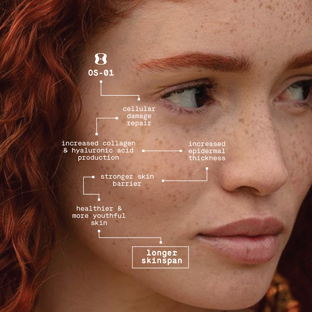 Wondering what long-term benefits you have to look forward to with consistent use of OS-01? We've mapped it out for you, but if you're looking for the short version, OS-01 2x daily = healthier, younger looking (and functioning) skin 💃