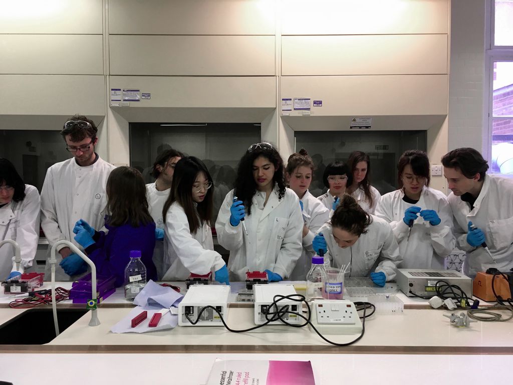 Finally! <a href="/RCA/">Royal College of Art</a> is opening its own #biolab soon to explore the future of #biomaterials. They are looking for a Bio-materials Technical Instructor to support the lab.
👉👉👉  buff.ly/3zbYqB1