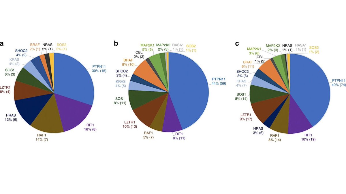 GIMJournal's tweet image. June #FeatureArticle: &quot;When to test fetuses for #RASopathies? Proposition from a systematic analysis of 352 multicenter cases and a postnatal cohort&quot; by Alexandra Scott, et al. rdcu.be/cl9AD #prenatal #Cardiology #RareDiseases #genetictesting