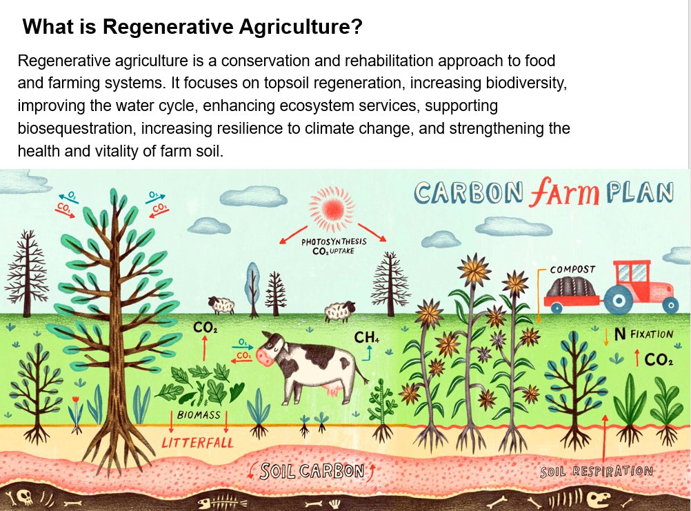 Thank you so much to 𝐀𝐛𝐢 𝐌𝐨𝐫𝐝𝐢𝐧 from Propagate for telling sharing the importance of #regenerativeagriculture at our Youth Climate Festival! So important for young people in our region to learn about how we can work with nature for tasty, healthy and sustainable food! 🌱