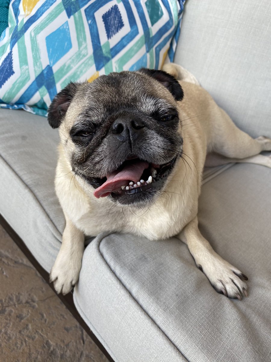 GuppyTweets's tweet photo. Summer ready 🌞 https://t.co/YQsQbSQkiG