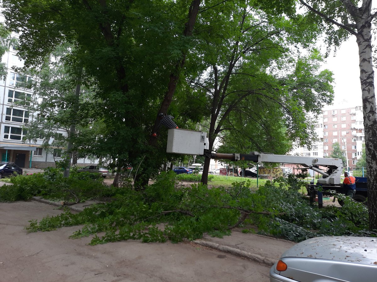 <a href="/osmladya2/">Райф Белла Шлемовна (председатель ТОС Ладья)</a> 
10.06.21г.
На дет. площадке напротив дома 66 по ул.Фадеева проводится работа по санитарной обрезке деревьев. 
Жители выражают благодарность, наконец то можно безопасно  играть детям на площадке и ходить по пешеходной дорожке.
<a href="/promadm/">Promadm.samara</a>