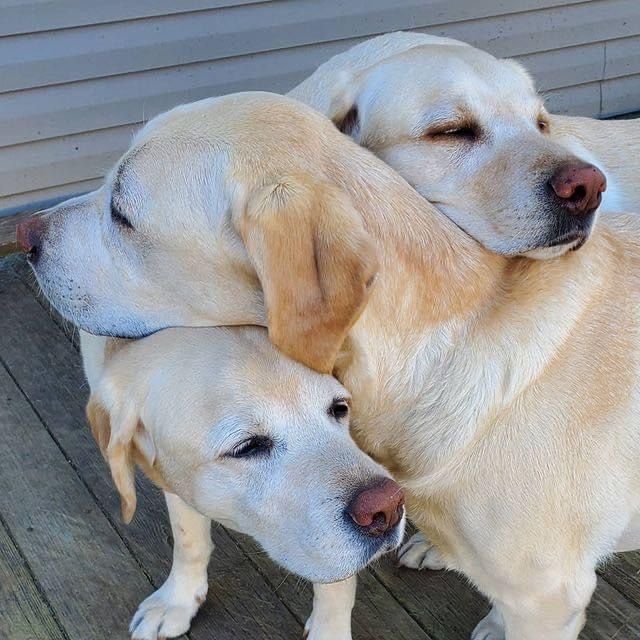 Hugging .... the best medicine in the world