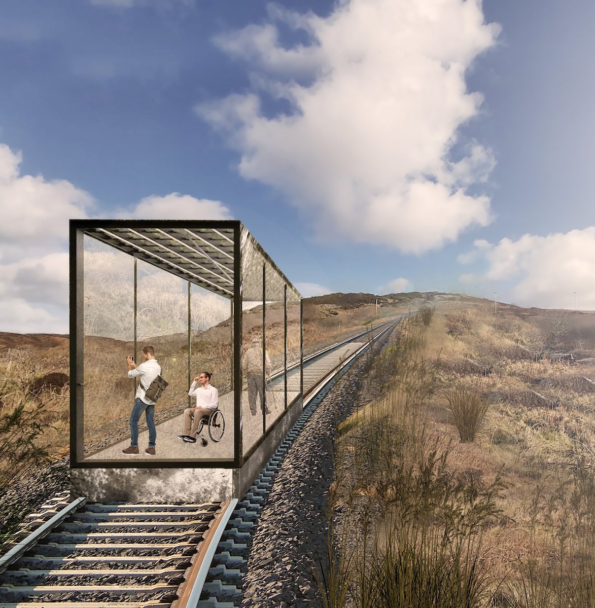 @poloconghaile tweet media