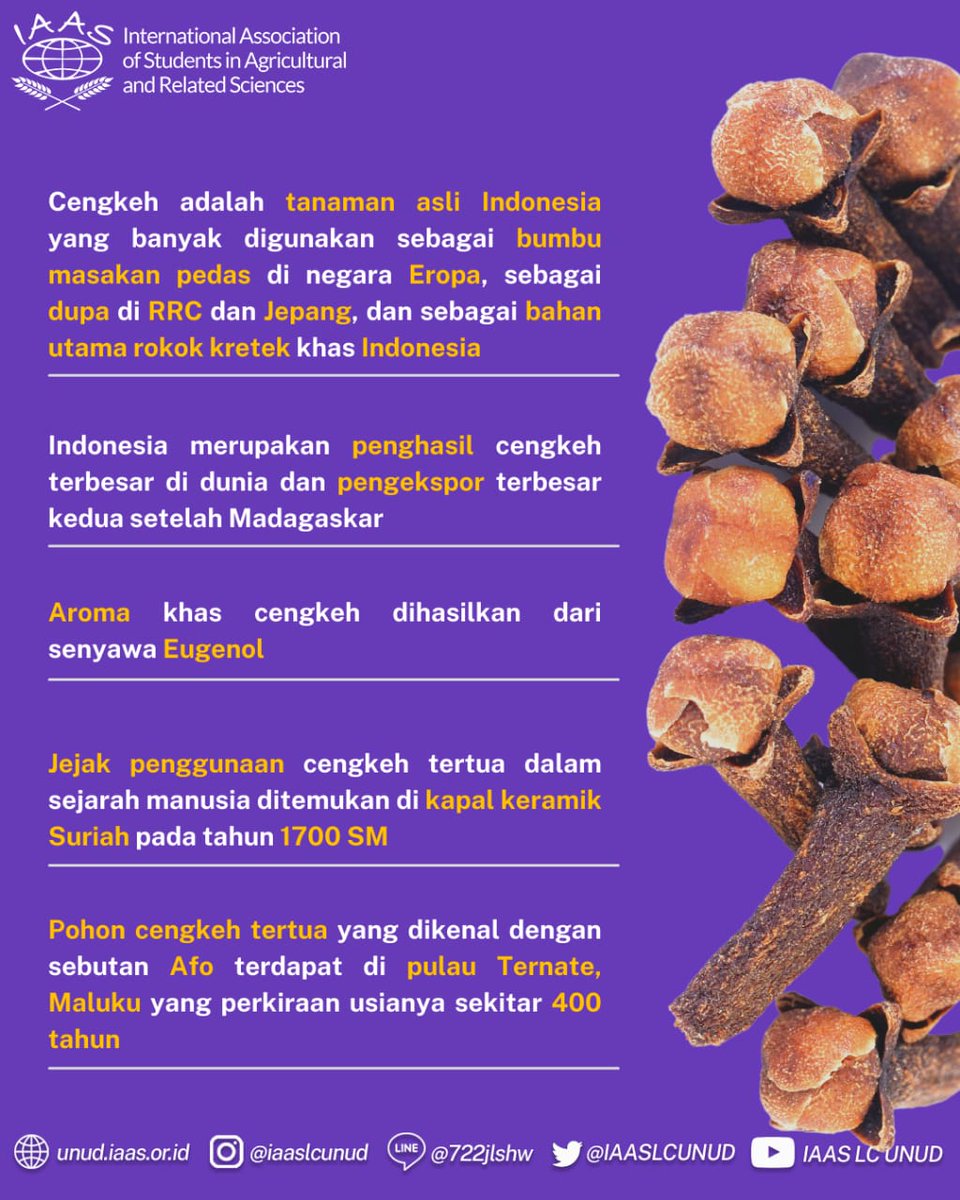 IAASLCUNUD tweet picture