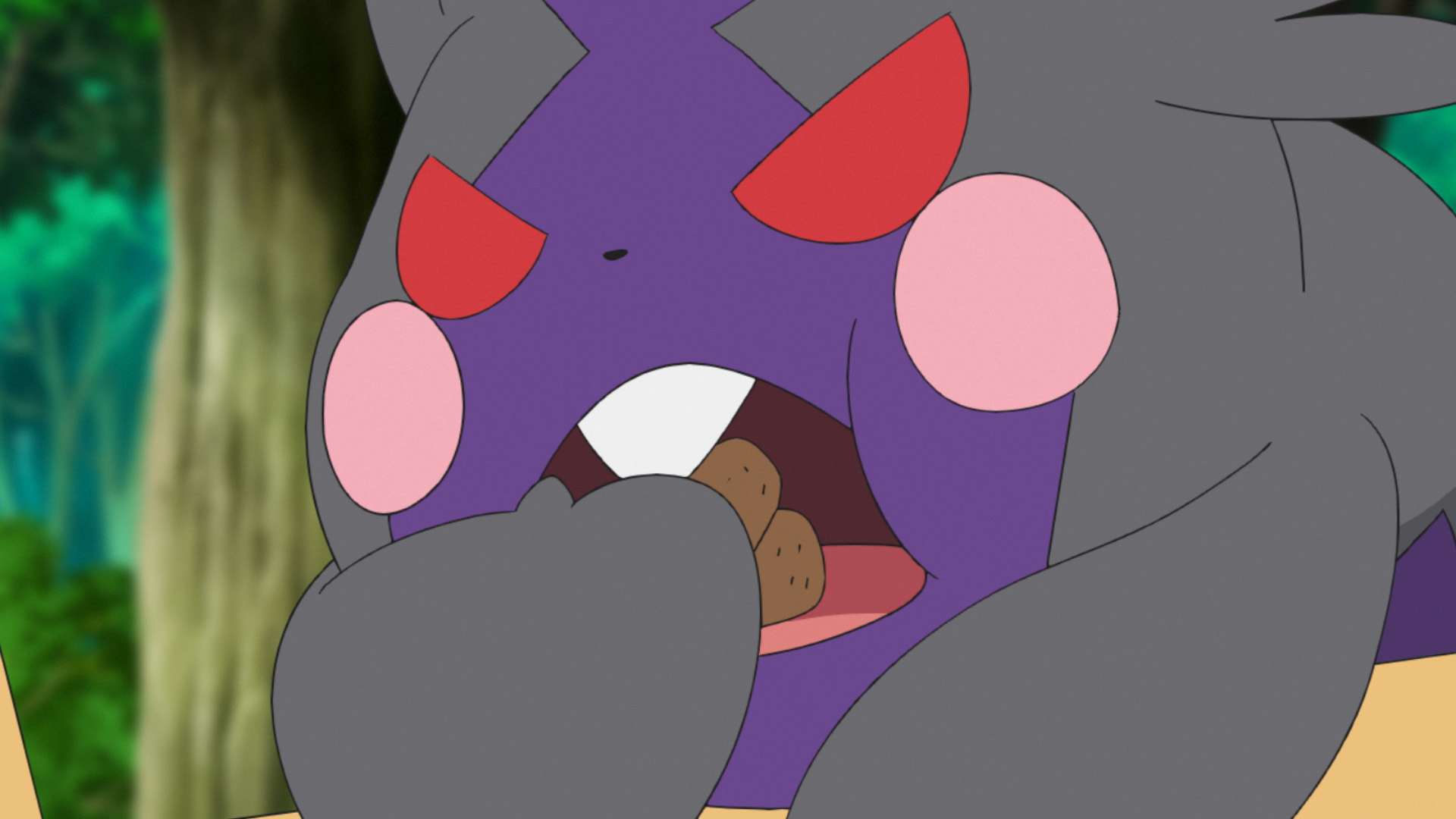 アニメ ポケットモンスター 公式 アニポケ 第70話は 食いしん坊の モルペコ に手をやいた ロケット団 モルペコを野生に返す それとも誰かにゲットしてもらう ロケット団の悲痛な叫び おねがい モルペコゲットして この後よる6時55分から