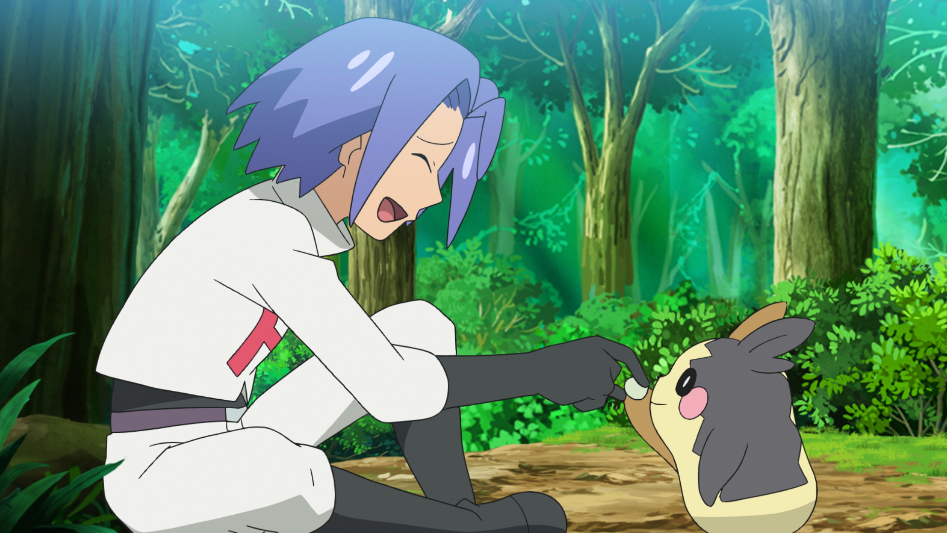 アニメ ポケットモンスター 公式 アニポケ 第70話は 食いしん坊の モルペコ に手をやいた ロケット団 モルペコを野生に返す それとも誰かにゲットしてもらう ロケット団の悲痛な叫び おねがい モルペコゲットして この後よる6時55分から