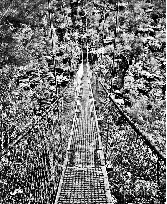 AngiePictures's tweet photo. Into the jungle at #AbelTasman. #hiking #NewZealand  #landscapephotography
https://t.co/QslU6SDSsK https://t.co/o0jr0IhtwL