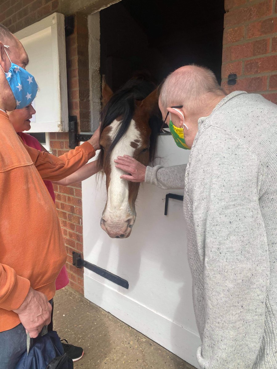 JeesalGroup's tweet photo. Day at Hillside Animal Sanctuary. 

#animals #dayout #Norfolk https://t.co/2LU65Ti2kY