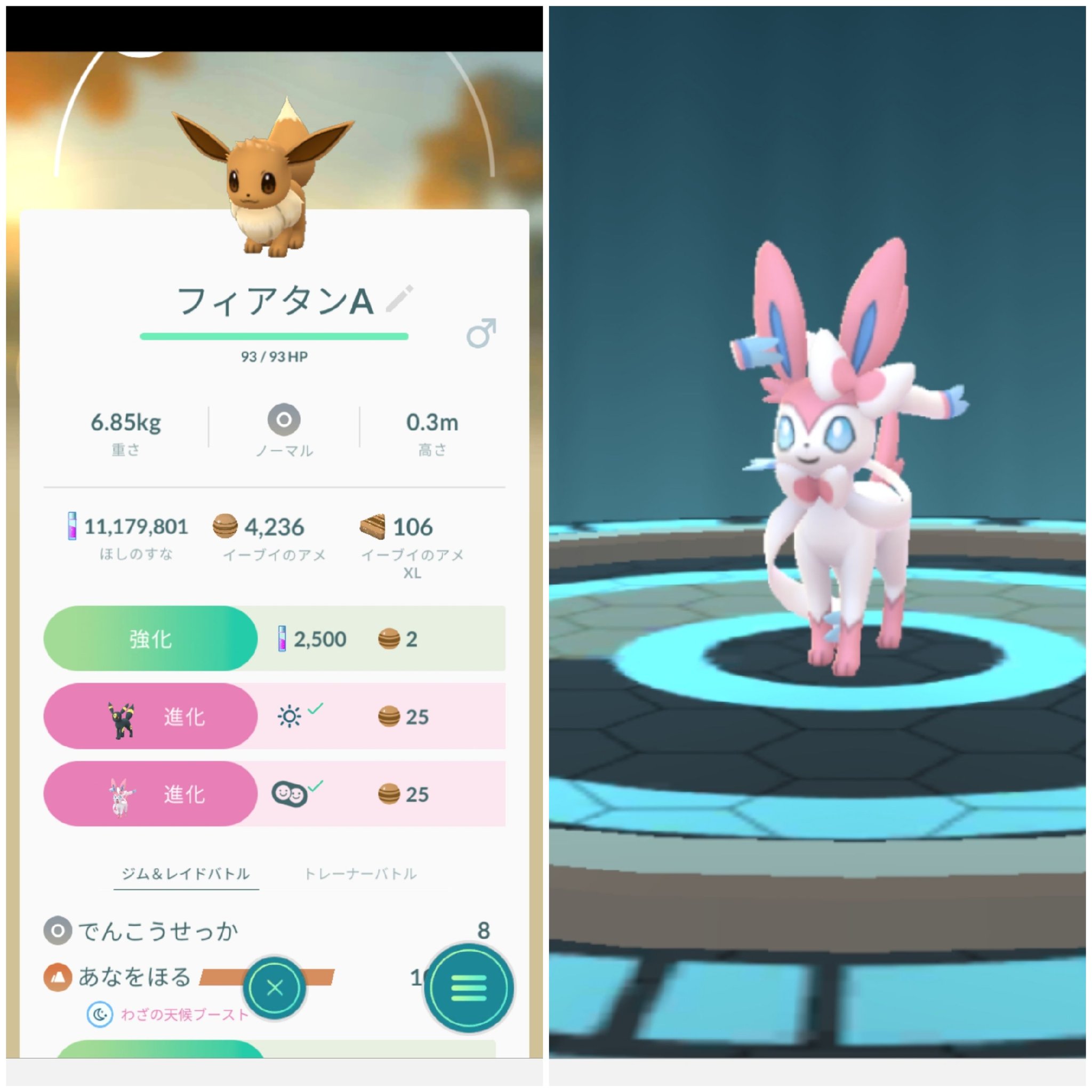 توییتر Amazinghisa در توییتر 今日のポケモンgo活動 イーブイの の数70越えたので ニンフィアに進化 レイドはメガヤドラン エナジーは290になりました ようやくガラルヤドンを相棒にしました ポケモンgo イーブイ ニンフィア メガヤドラン توییتر Amazinghisa در توییتر 今日のポケモンgo活動 イーブイの の数70越えたので ニンフィアに進化 レイドはメガヤドラン エナジーは290になりました ようやくガラルヤドンを相棒にしました ポケモンgo イーブイ ニンフィア メガヤドラン