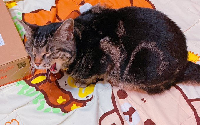 オアアアアアア 