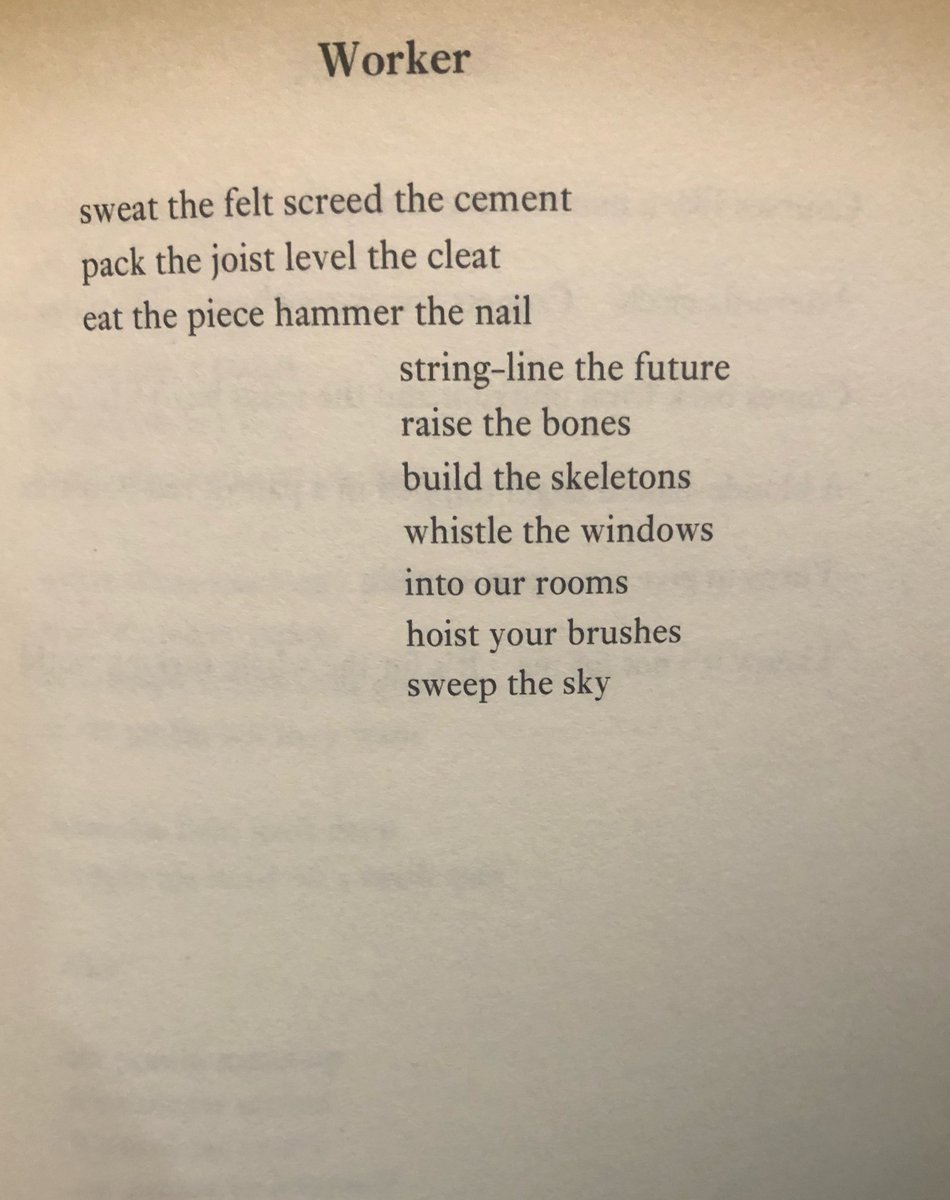 Last week the Hackney Libraries Lockdown Poetry Group discussed 3 very differently 'shaped' poems: 
🔶 William Letford, Bevel (Carcanet, 2012) 
🔶 Terrance Hayes' Lightspeed (Penguin, 2010)
🔶 Wendy Trevino, Cruel Fiction (Commune Editions, 2018)