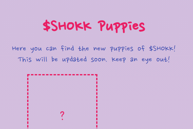 Shikokuaido Inu $SHOKK tweet media