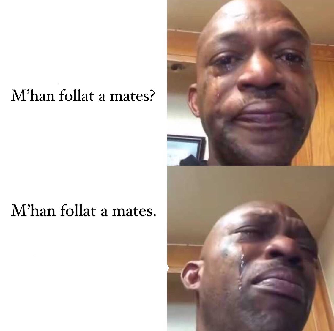 Selectivitat tweet media