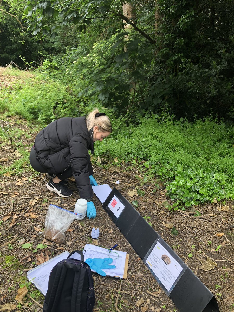 Charlie Taylor tweet media