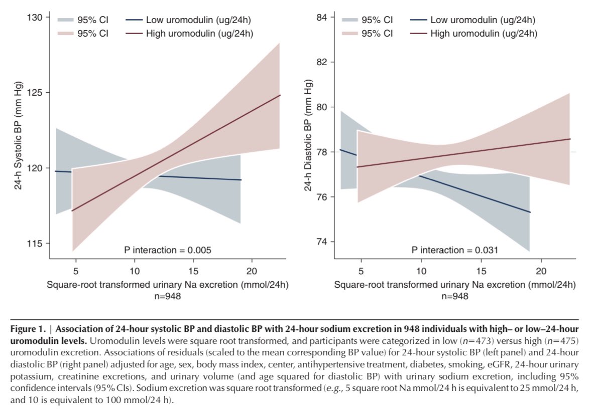 JonathanNefro's tweet photo. La UROMODULINA tendría un rol importantísimo en la modulación de la hipertensión arterial “sal sensible”, los niveles altos urinarios incrementan la presión arterial y retienen sodio, regulando la actividad del NKCC2

CJASN 2021
https://t.co/3MO0aYJtbf https://t.co/0hp195X0sf