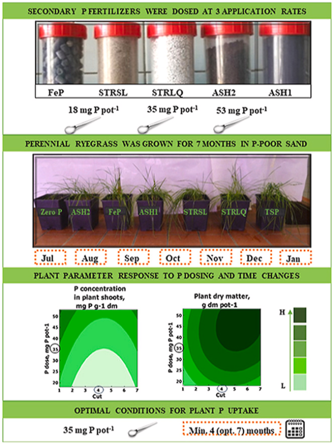 Bioref_Cluster's tweet photo. Read this interesting article on the "Impact of ⏲️ & #phosphorus application rate on #phosphorus #bioavailability & #fficiency of secondary fertilizers recovered from municipal wastewater"from @Bioref_Cluster @INTERREG_NWE projects #Phos4You & #Renu2Farm
🔗https://t.co/fcG25vLLC0 https://t.co/nzSxWjCExV