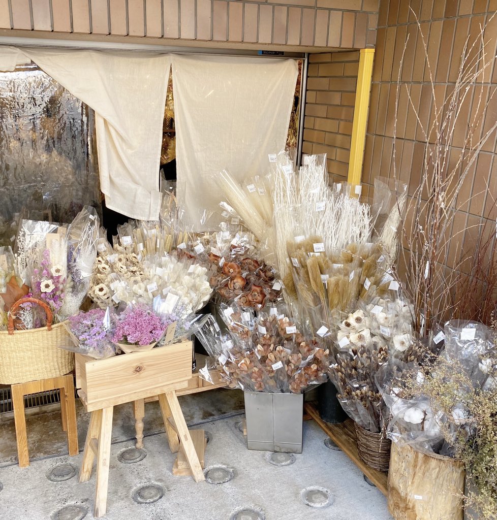 ひ みおちゃんのツイート見て久しぶりに表参道のtida Flowerへ 実はアイコンの髪の毛についてるお花このお店の花をアレンジしたもの このお店で買ったドライフラワーが1番本当に持ちが良くて色鮮やかで綺麗な状態が長続きしてくれる さすが専門店 品揃え ひ みおちゃんのツイート見て久しぶりに表参道のtida Flowerへ 実はアイコンの髪の毛についてるお花このお店の花をアレンジしたもの このお店で買ったドライフラワーが1番本当に持ちが良くて色鮮やかで綺麗な状態が長続きしてくれる さすが専門店 品揃え