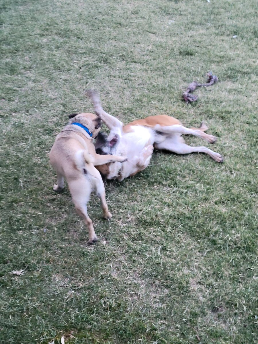 Coach_Obed's tweet image. Only quality people. Find those that make you better. #workoutpartners #day4 #oneatatime