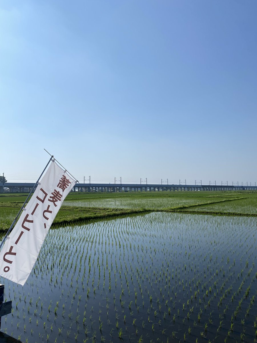 忠兵衛ピース Chubeypeace Twitter