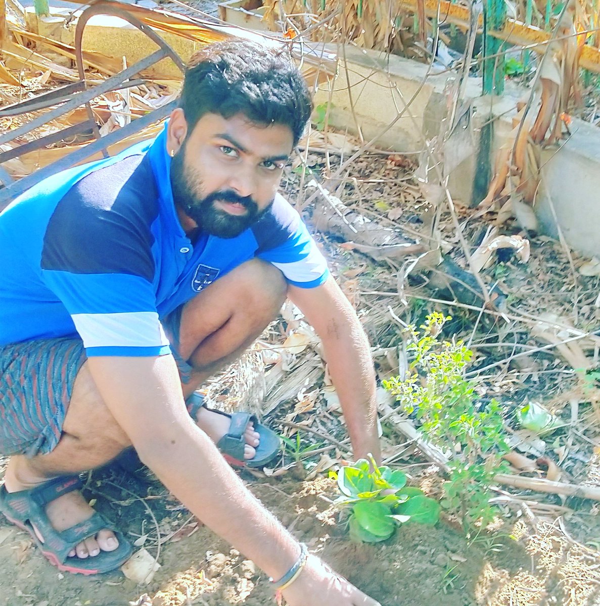 Kamendrasingh09's tweet photo. आज वटवृक्ष पूजा दिवस पर बरगद का पेड़ लगाया।।
#cleengreenplanet https://t.co/fBsJc1ibSC
