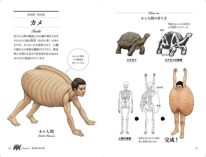 Here's What It Would Look Like if Humans Had Animal Anatomy (And It's  Disturbing) - Nerdist