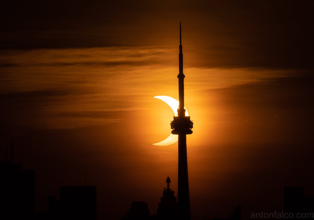 AntonFalcoWx's tweet image. Partial solar eclipse as seen from the Toronto lakeshore. An absolutely incredible morning. For once, I embrace seagulls in a shot.