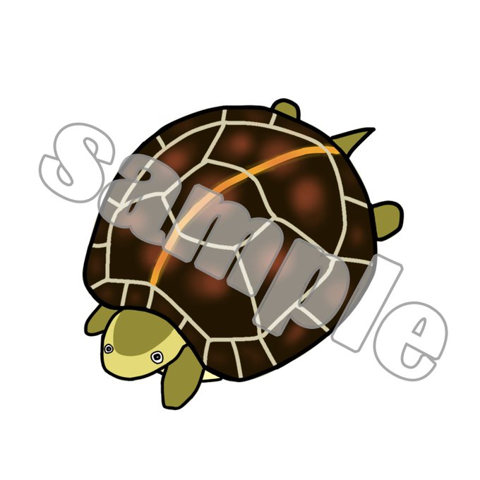 セマルハコガメのtwitterイラスト検索結果 セマルハコガメのtwitterイラスト検索結果