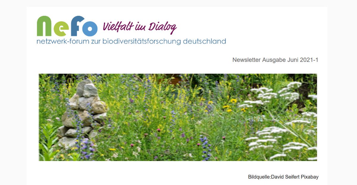 Ne_Fo's tweet photo. Zur #WochederUmwelt fahren wir groß auf: unser #NeFo #Newsletter ist wieder da!
Wer ihn abonniert hat, hat ihn seit heute mittag digital druckfrisch im Postfach 😉
Alle Anderen finden ihn hier 👇
https://t.co/RYiIE5wLnb. @umweltstiftung https://t.co/8aLeqS452c
