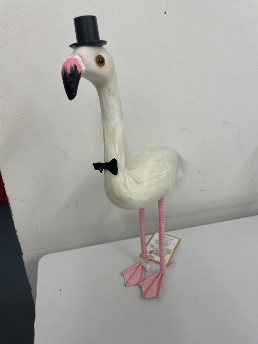 SGrincell's tweet photo. Love my flamingo ⁦@natashabugbee⁩, thank you ❤️xx https://t.co/wvUgRnBOI8